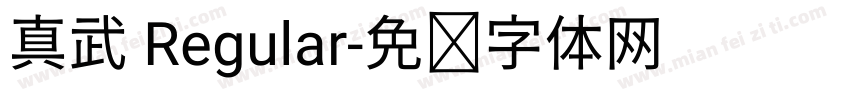真武 Regular字体转换